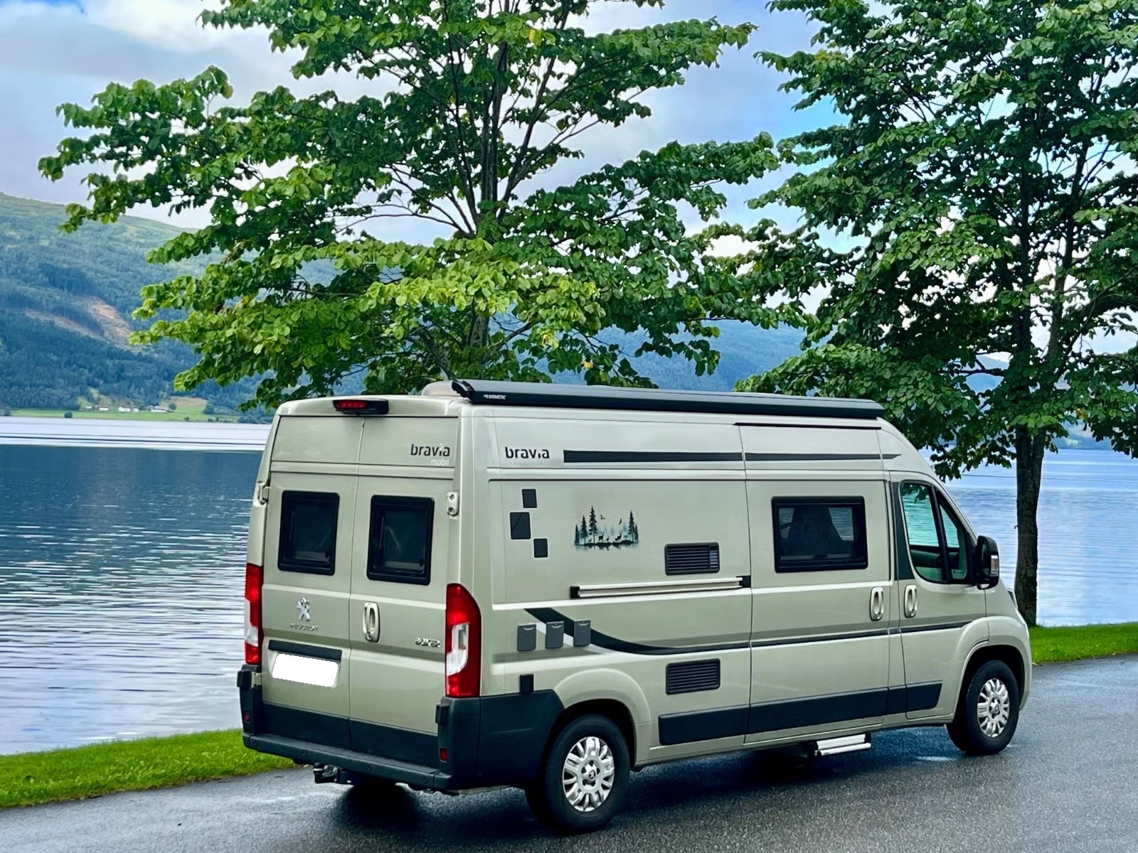 BRAVIA SWAN 599 - Image 2