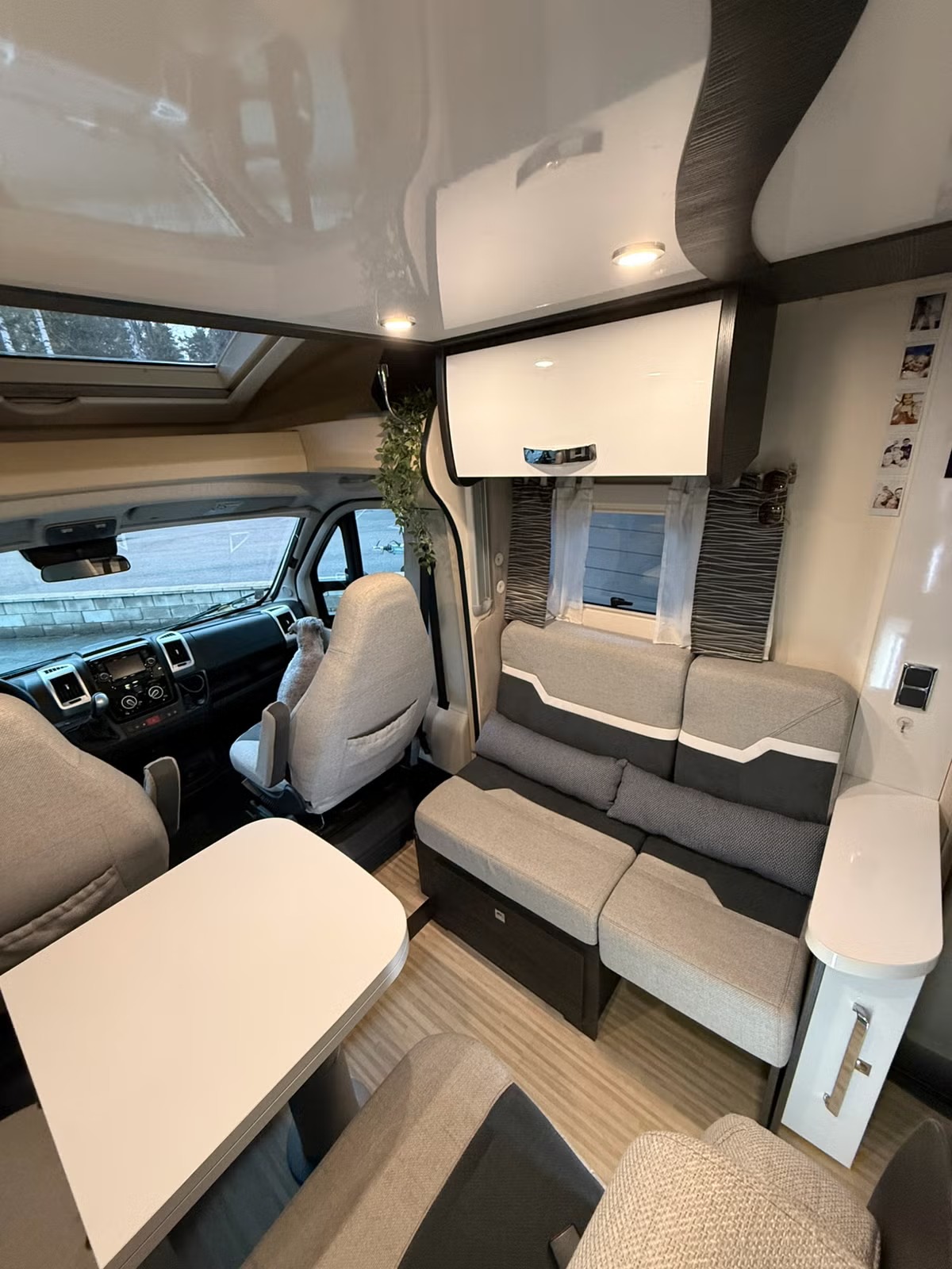 BENIMAR MILEO 263 - Image 12